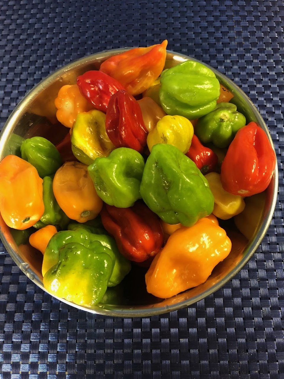 Habanero